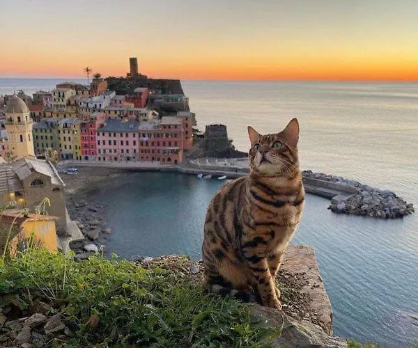 Apartman Linda A Pochi Passi Dal Mare - 011030-lt-0357 Vernazza