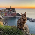 Apartman Linda A Pochi Passi Dal Mare - 011030-lt-0357 Vernazza